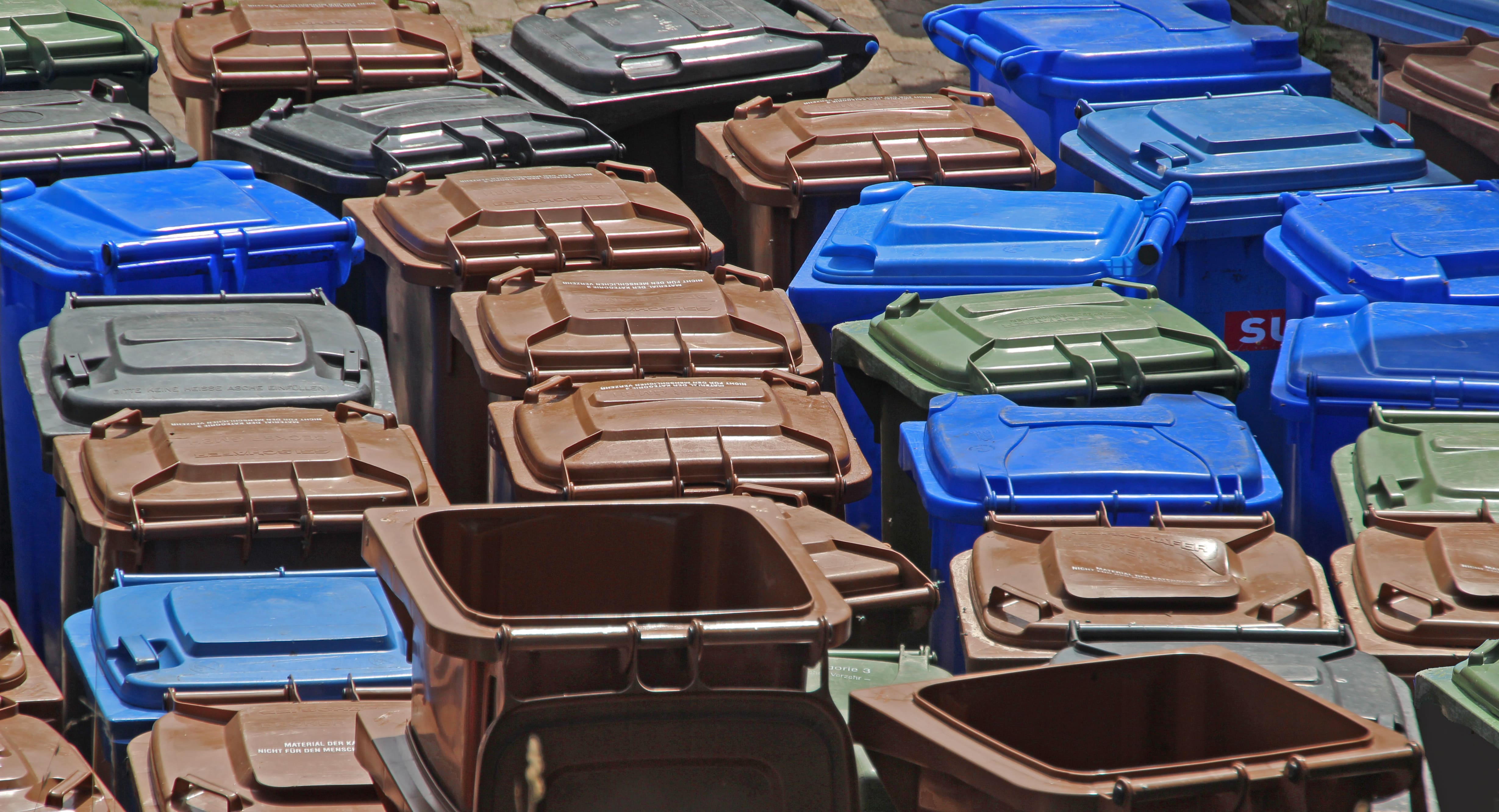 Gewerbliche Tonnenreinigung