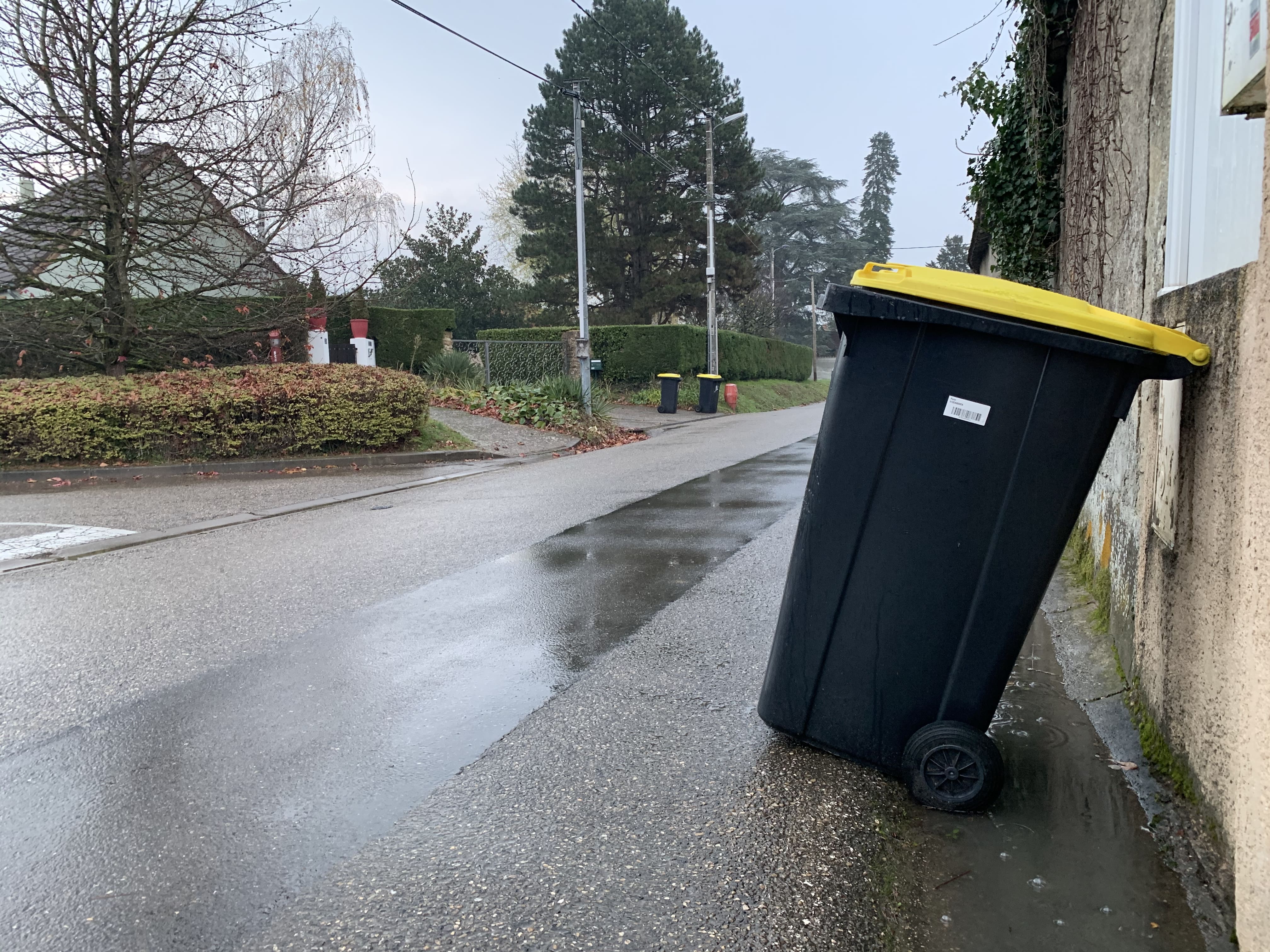 Kostspieliger Fehler bei der Tonnenreinigung